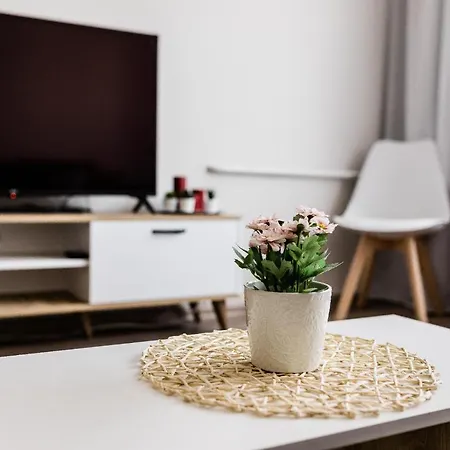 Appartement Scandinavian Inspired Design *