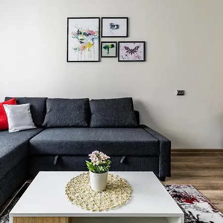 Scandinavian Inspired Design Appartement