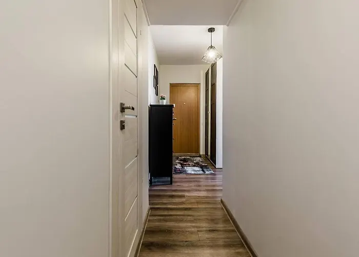 Scandinavian Inspired Design Apartment *